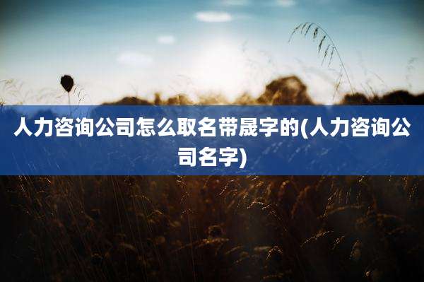 人力咨询公司怎么取名带晟字的(人力咨询公司名字)