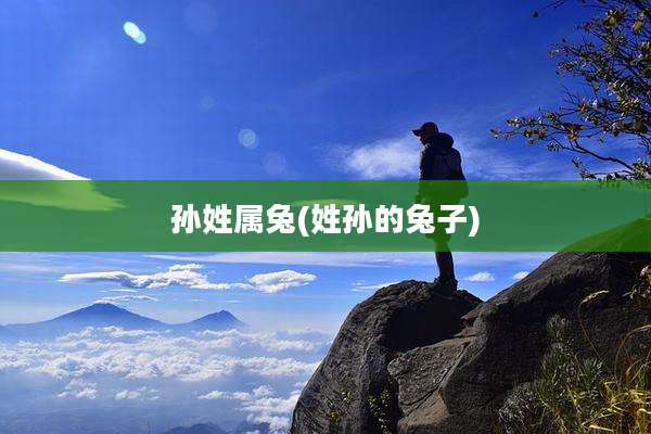 孙姓属兔(姓孙的兔子)