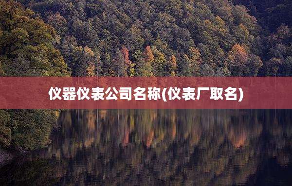 仪器仪表公司名称(仪表厂取名)
