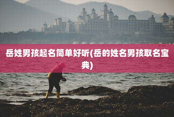 岳姓男孩起名简单好听(岳的姓名男孩取名宝典)