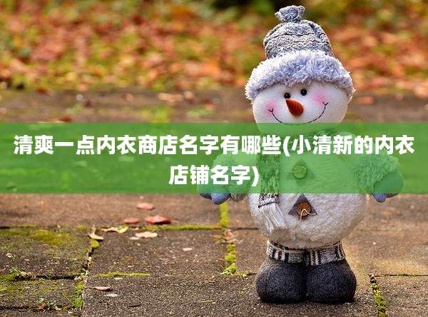 清爽一点内衣商店名字有哪些(小清新的内衣店铺名字)