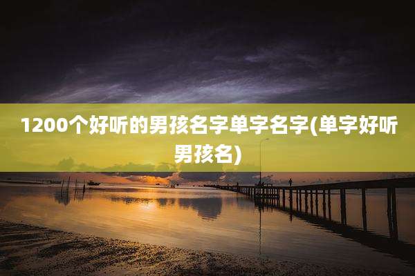 1200个好听的男孩名字单字名字(单字好听男孩名)