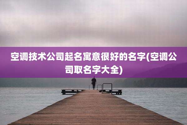 空调技术公司起名寓意很好的名字(空调公司取名字大全)