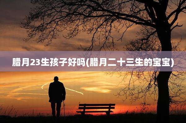 腊月23生孩子好吗(腊月二十三生的宝宝)
