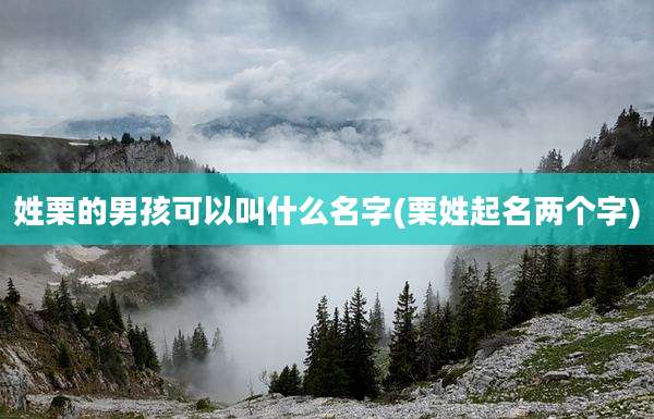 姓栗的男孩可以叫什么名字(栗姓起名两个字)