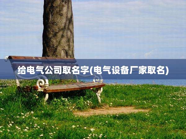给电气公司取名字(电气设备厂家取名)