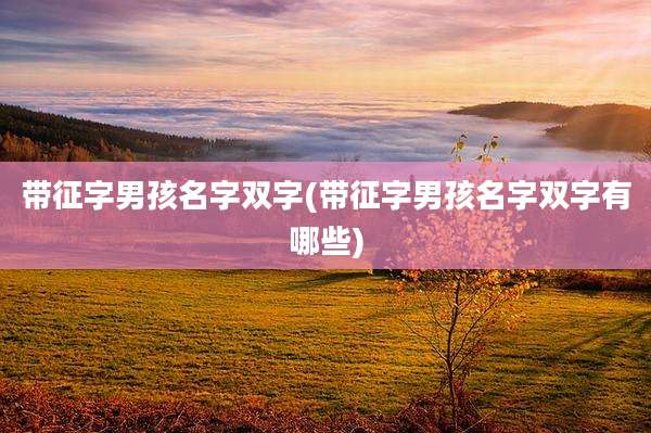 带征字男孩名字双字(带征字男孩名字双字有哪些)