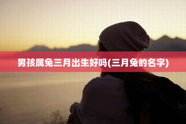 男孩属兔三月出生好吗(三月兔的名字)