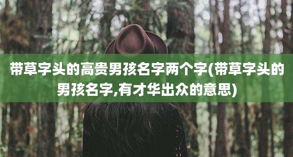 带草字头的高贵男孩名字两个字(带草字头的男孩名字,有才华出众的意思)
