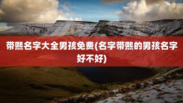 带熙名字大全男孩免费(名字带熙的男孩名字好不好)