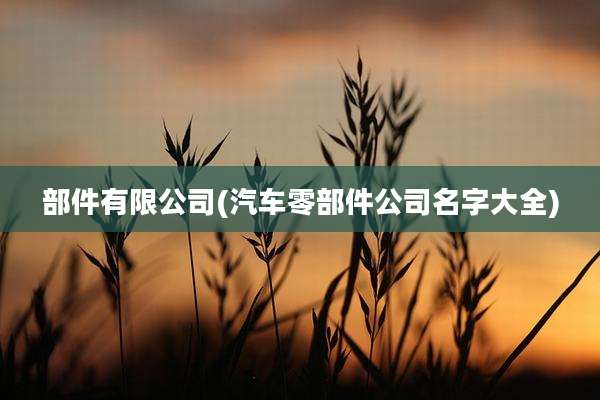 部件有限公司(汽车零部件公司名字大全)