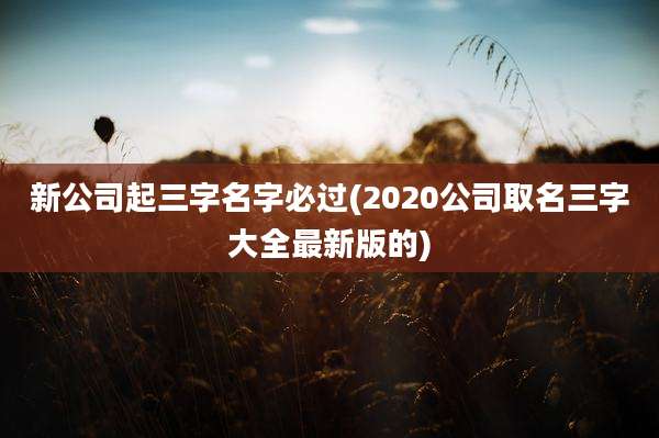 新公司起三字名字必过(2020公司取名三字大全最新版的)