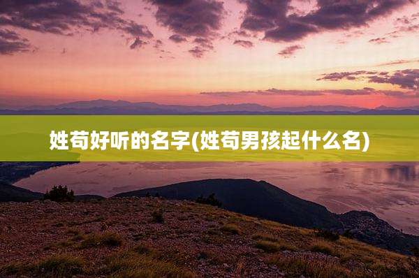姓苟好听的名字(姓苟男孩起什么名)