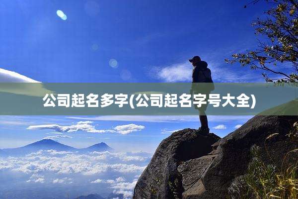 公司起名多字(公司起名字号大全)