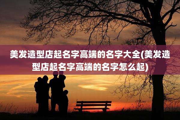 美发造型店起名字高端的名字大全(美发造型店起名字高端的名字怎么起)