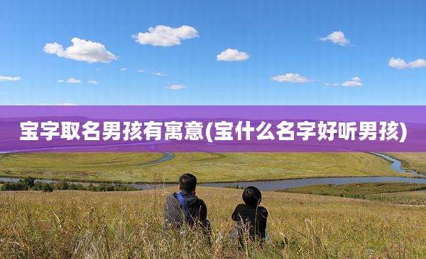 宝字取名男孩有寓意(宝什么名字好听男孩)