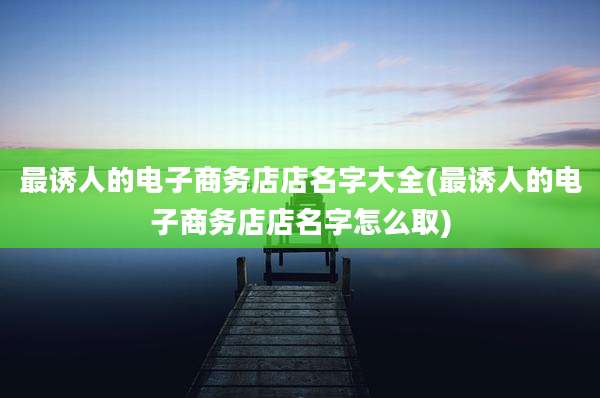 最诱人的电子商务店店名字大全(最诱人的电子商务店店名字怎么取)