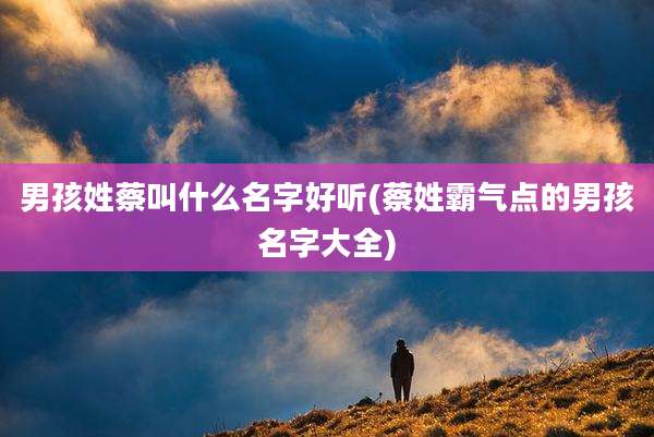 男孩姓蔡叫什么名字好听(蔡姓霸气点的男孩名字大全)