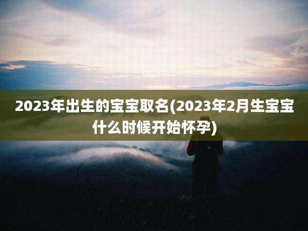 2023年出生的宝宝取名(2023年2月生宝宝什么时候开始怀孕)