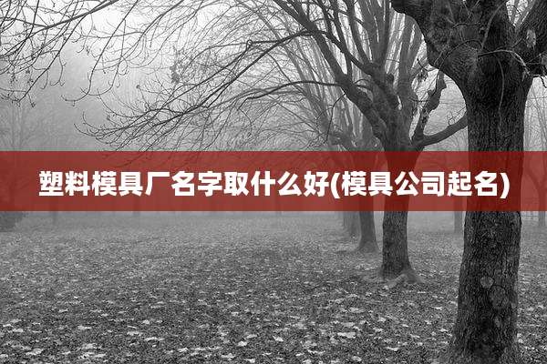 塑料模具厂名字取什么好(模具公司起名)
