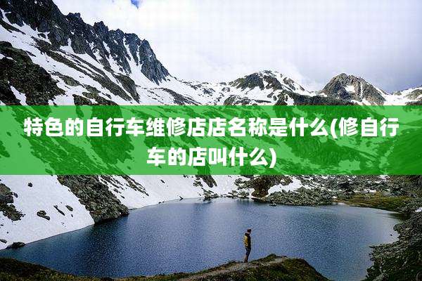 特色的自行车维修店店名称是什么(修自行车的店叫什么)