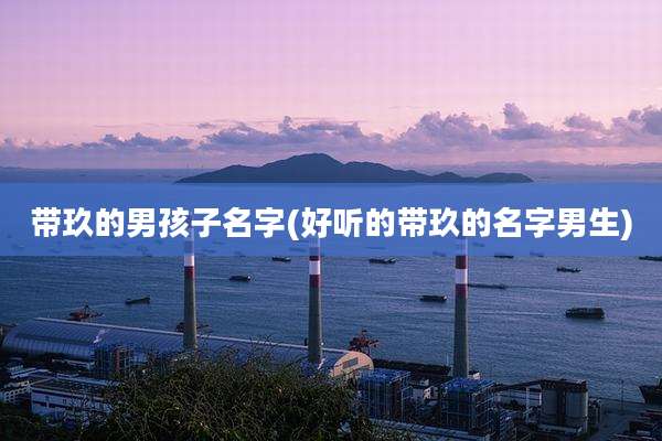 带玖的男孩子名字(好听的带玖的名字男生)