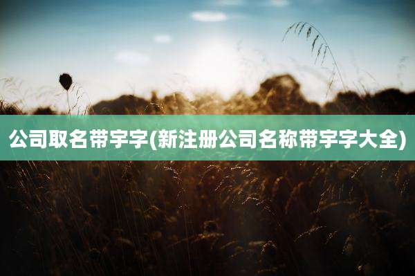 公司取名带宇字(新注册公司名称带宇字大全)
