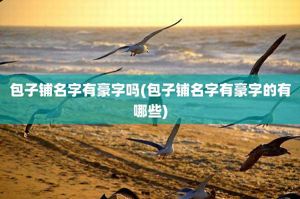 包子铺名字有豪字吗(包子铺名字有豪字的有哪些)