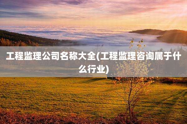 工程监理公司名称大全(工程监理咨询属于什么行业)