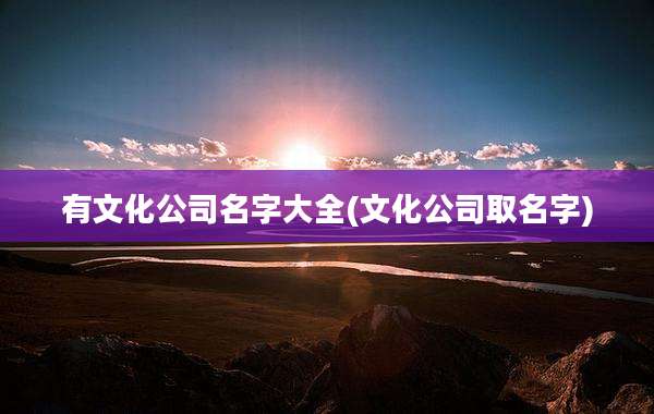 有文化公司名字大全(文化公司取名字)