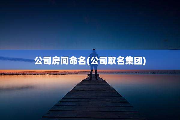 公司房间命名(公司取名集团)