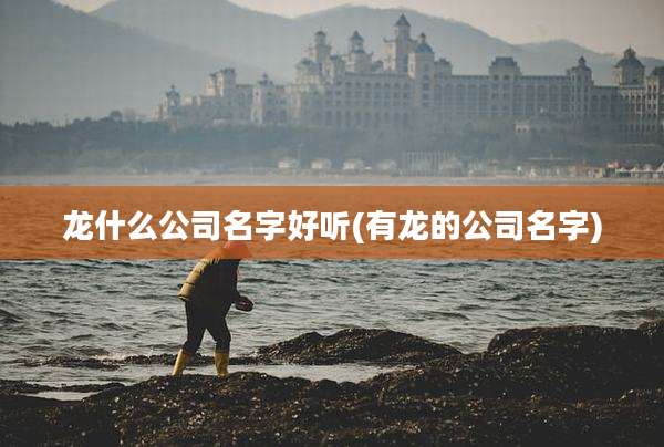 龙什么公司名字好听(有龙的公司名字)