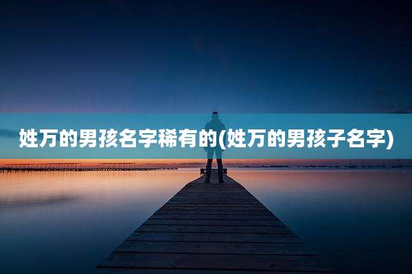 姓万的男孩名字稀有的(姓万的男孩子名字)