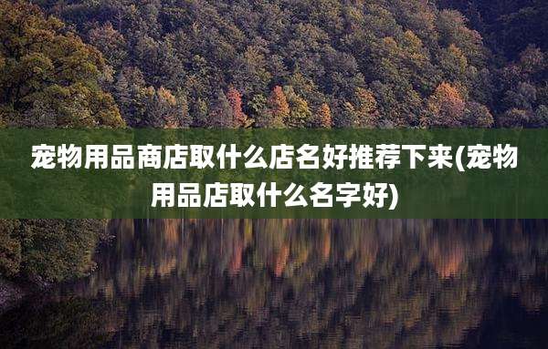 宠物用品商店取什么店名好推荐下来(宠物用品店取什么名字好)