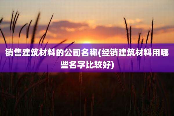 销售建筑材料的公司名称(经销建筑材料用哪些名字比较好)