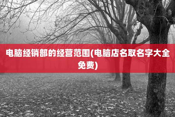 电脑经销部的经营范围(电脑店名取名字大全免费)