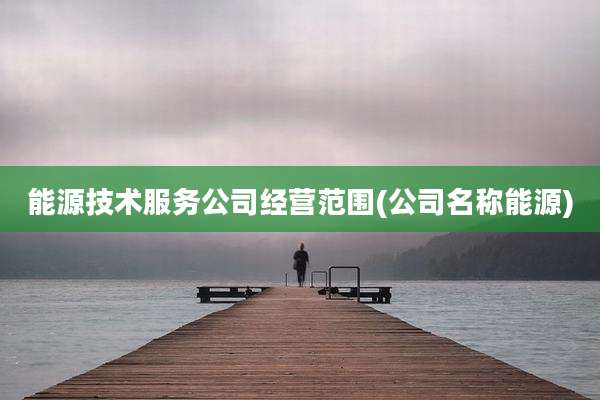 能源技术服务公司经营范围(公司名称能源)
