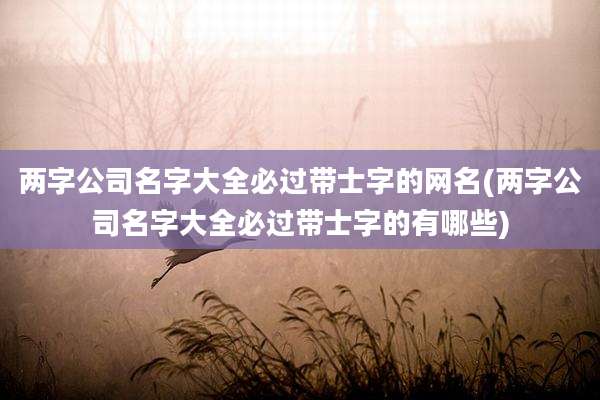 两字公司名字大全必过带士字的网名(两字公司名字大全必过带士字的有哪些)