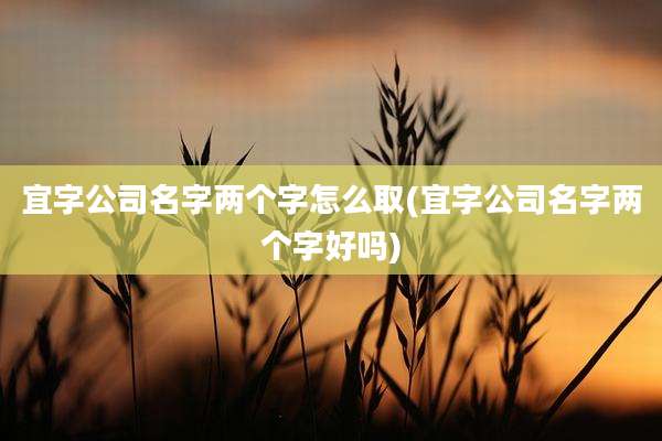 宜字公司名字两个字怎么取(宜字公司名字两个字好吗)