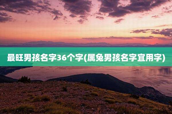 最旺男孩名字36个字(属兔男孩名字宜用字)