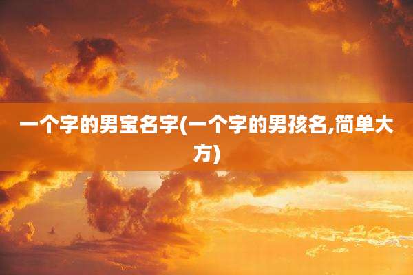 一个字的男宝名字(一个字的男孩名,简单大方)