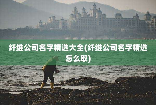 纤维公司名字精选大全(纤维公司名字精选怎么取)