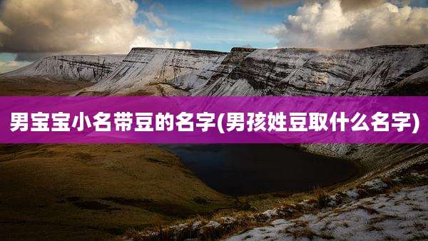 男宝宝小名带豆的名字(男孩姓豆取什么名字)