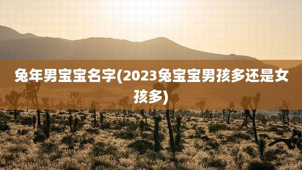 兔年男宝宝名字(2023兔宝宝男孩多还是女孩多)