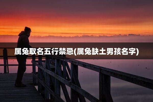 属兔取名五行禁忌(属兔缺土男孩名字)