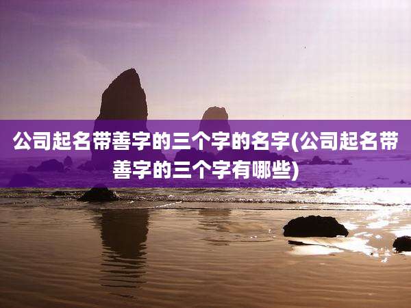公司起名带善字的三个字的名字(公司起名带善字的三个字有哪些)