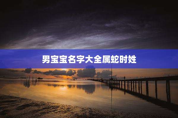 男宝宝名字大全属蛇时姓