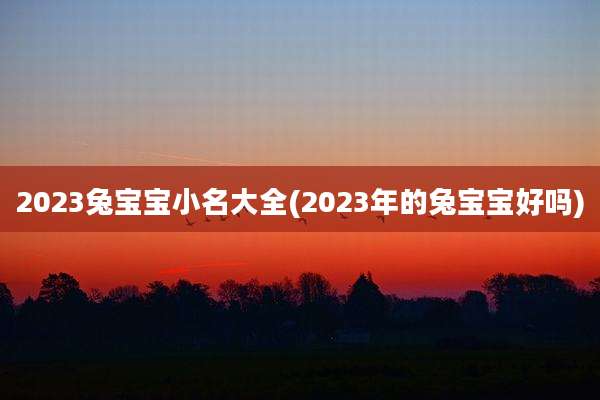 2023兔宝宝小名大全(2023年的兔宝宝好吗)