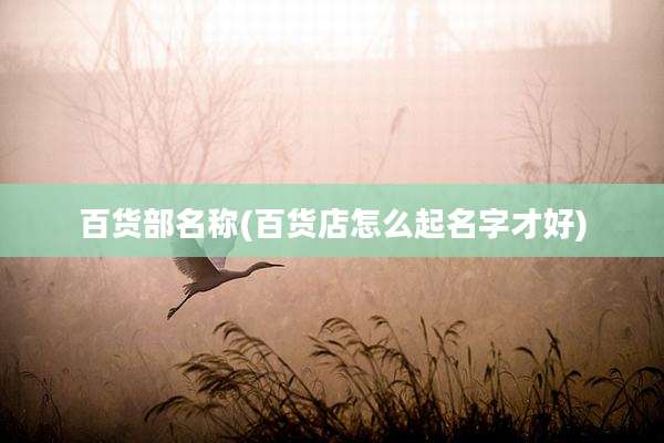 百货部名称(百货店怎么起名字才好)