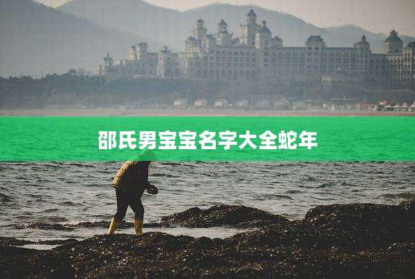 邵氏男宝宝名字大全蛇年